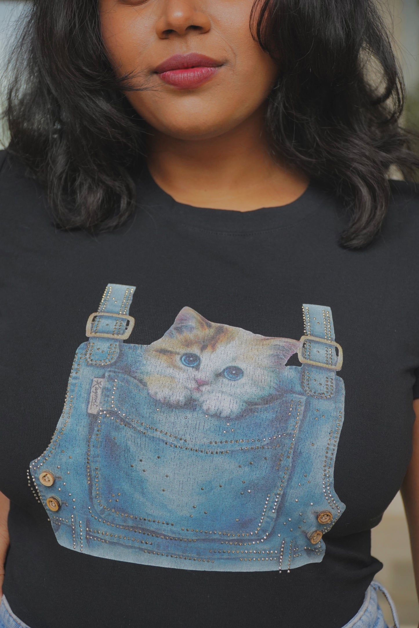 Pocket Kitty