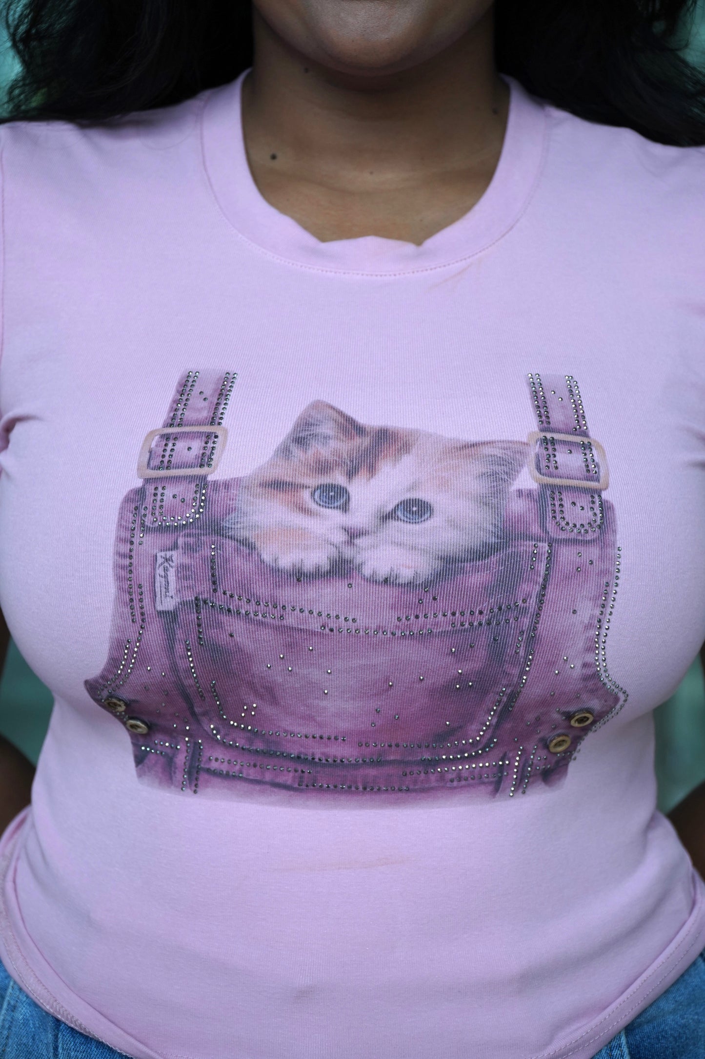 Pocket Kitty