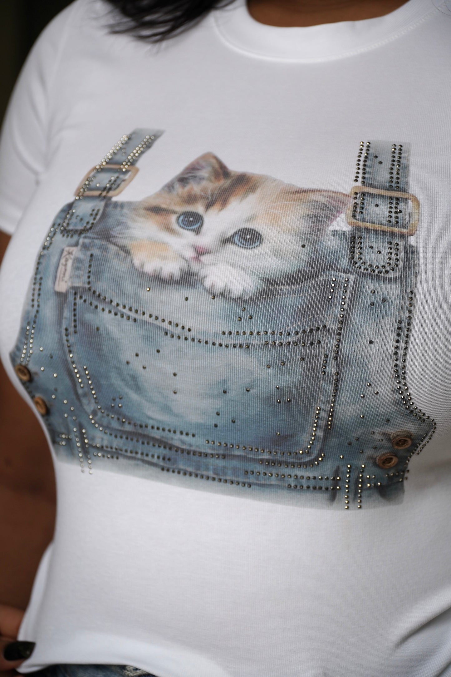 Pocket Kitty